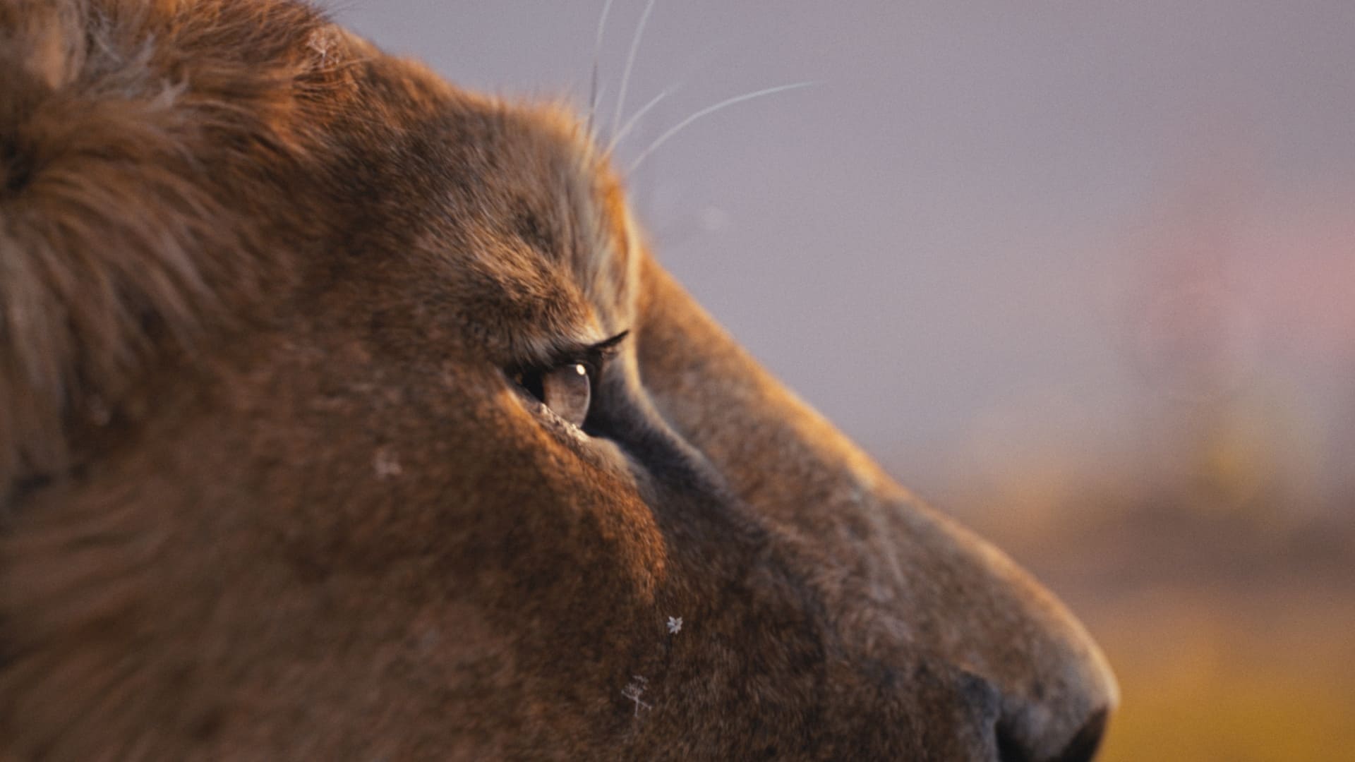 Mufasa: The Lion King Backdrop